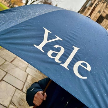 Yale umbrella